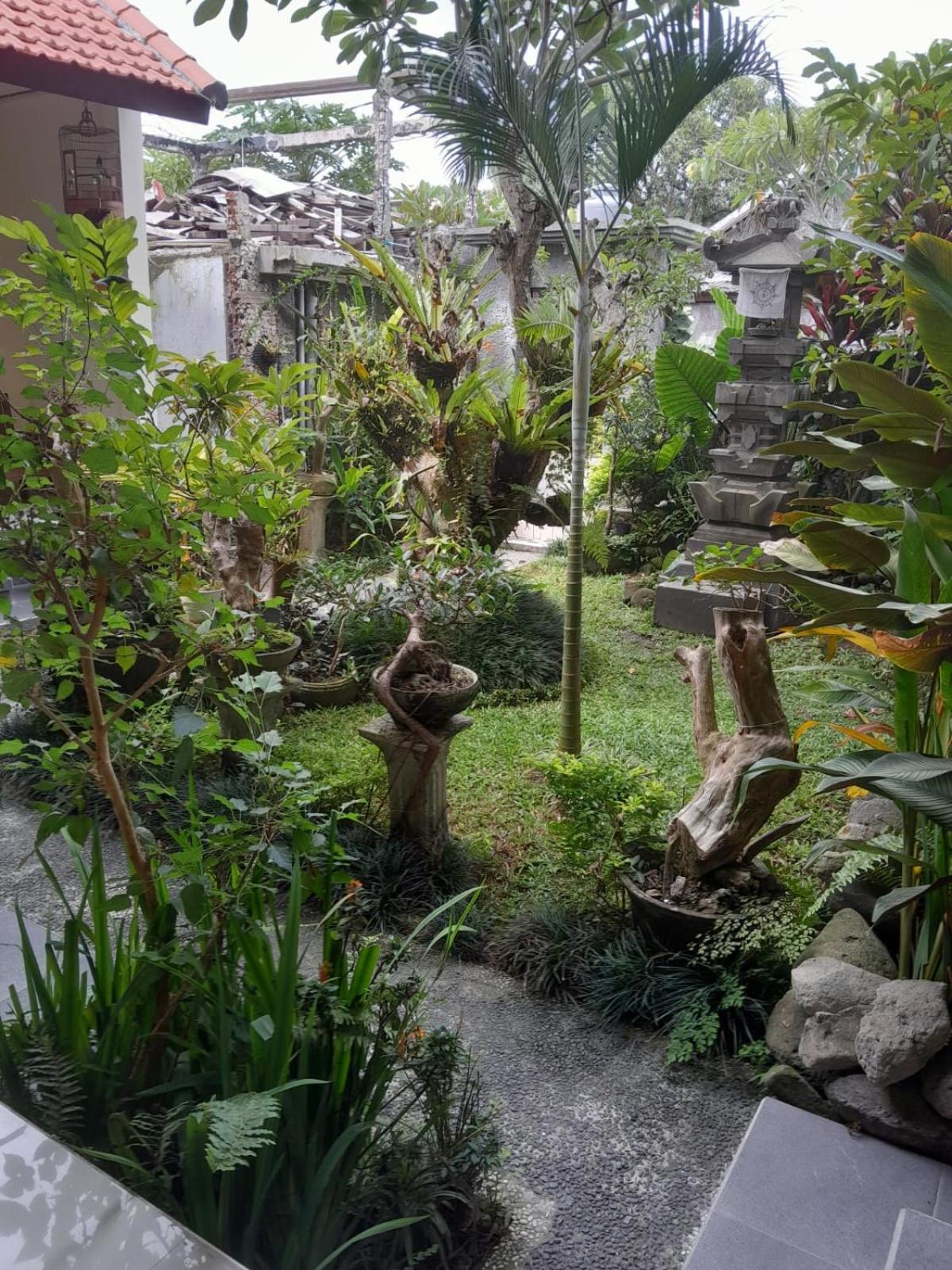Soka Homestay Ουμπούντ Εξωτερικό φωτογραφία