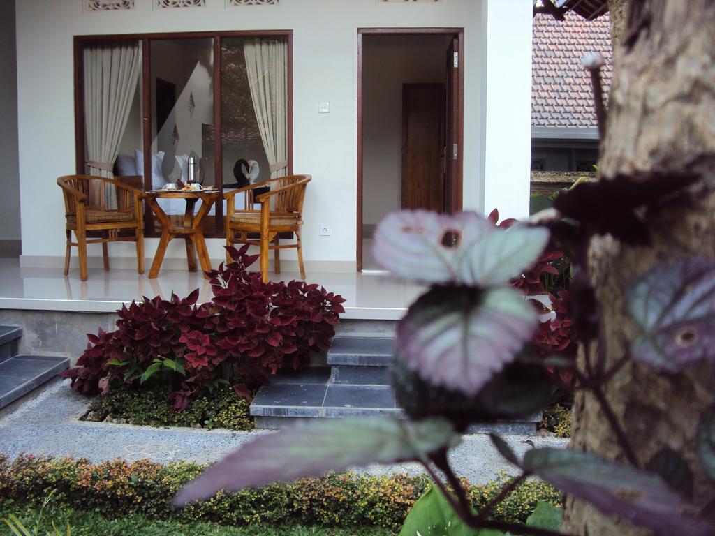 Soka Homestay Ουμπούντ Εξωτερικό φωτογραφία